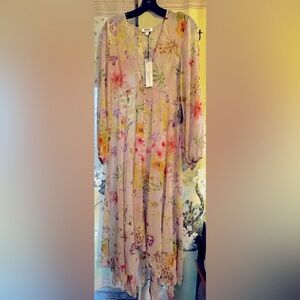 Express Edition Sheer Top/Cover Up